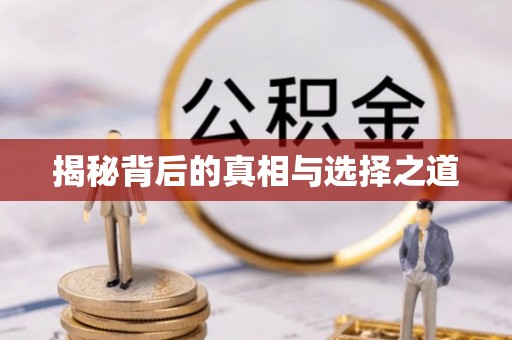 济源揭秘背后的真相与选择之道